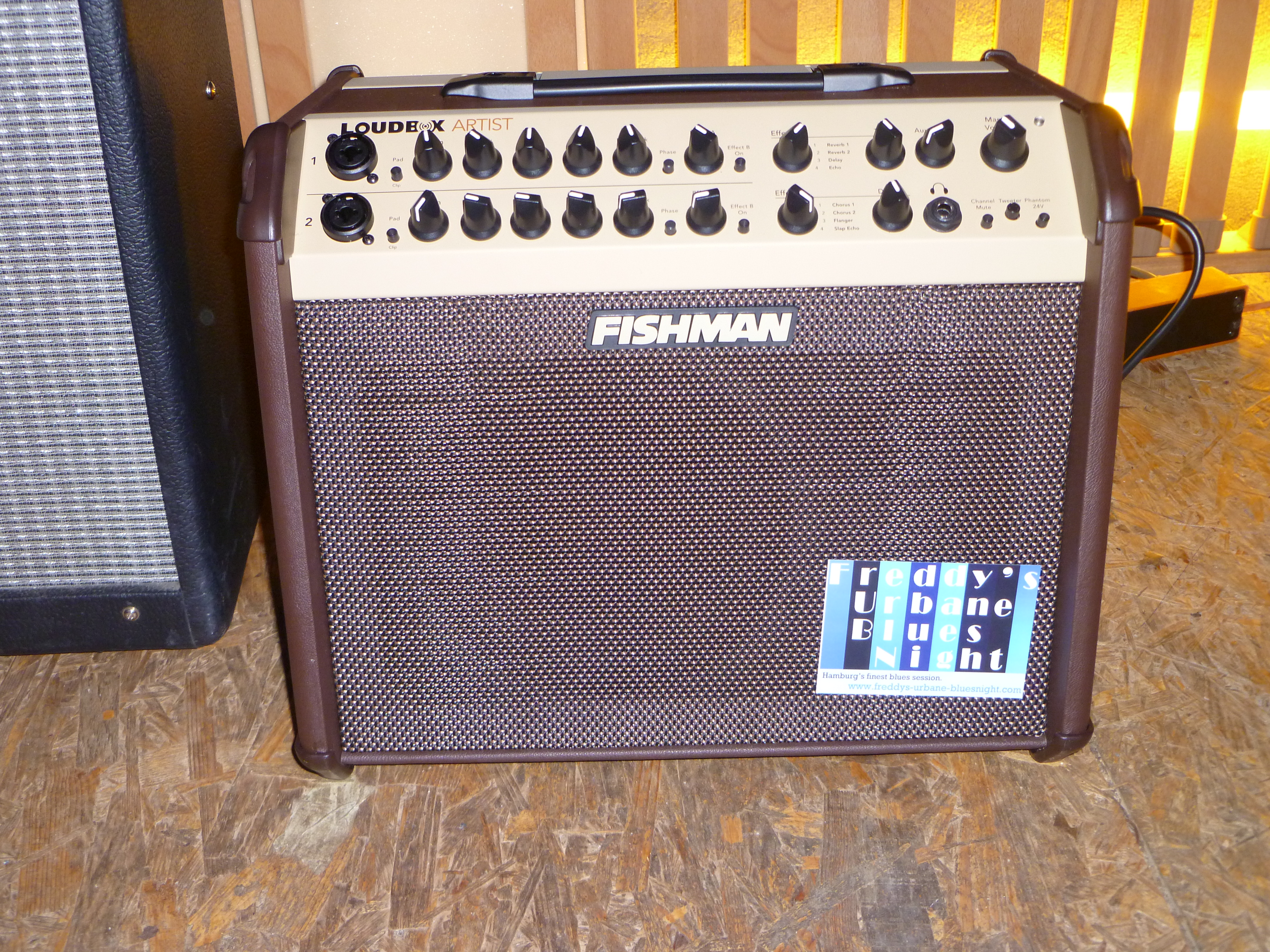 Akustikgitarren-/ Harpamp "Fishman Loudbox Artist", 2 getrennte Eingänge (Freddys Amp)